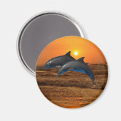 Bottlenose Dolphin op Sunset Magneet (Voorkant / Achterkant)