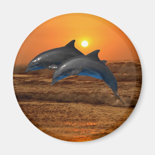Bottlenose Dolphin op Sunset Magneet (Voorkant)