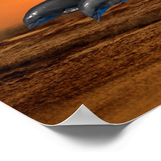 Bottlenose Dolphin op Sunset Poster (Hoek)
