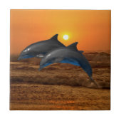 Bottlenose Dolphin op Sunset Tegeltje (Voorkant)