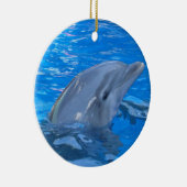 Bottlenose Dolphin Ornament (Rechts)
