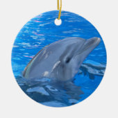 Bottlenose Dolphin Ornament (Voorkant)