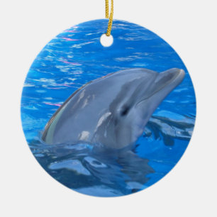 Bottlenose Dolphin Ornament