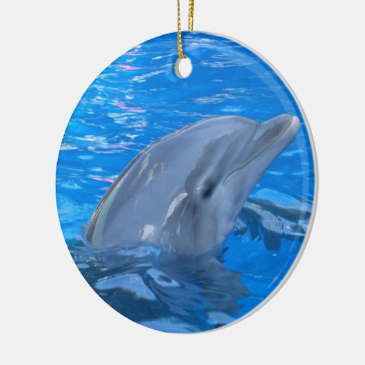 Bottlenose Dolphin Ornament (Links)