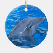Bottlenose Dolphin Ornament (Achterkant)