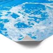 Bottlenose Dolphin Poster (Hoek)