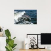 Bottlenose Dolphin Poster (Thuiskantoor)