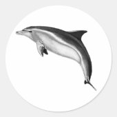 BOTTLENOSE DOLPHIN RONDE STICKER (Voorkant)