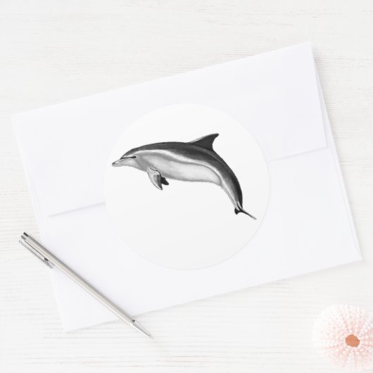 BOTTLENOSE DOLPHIN RONDE STICKER (Envelop)