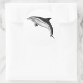 BOTTLENOSE DOLPHIN RONDE STICKER (Tas)