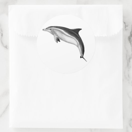 BOTTLENOSE DOLPHIN RONDE STICKER (Tas)