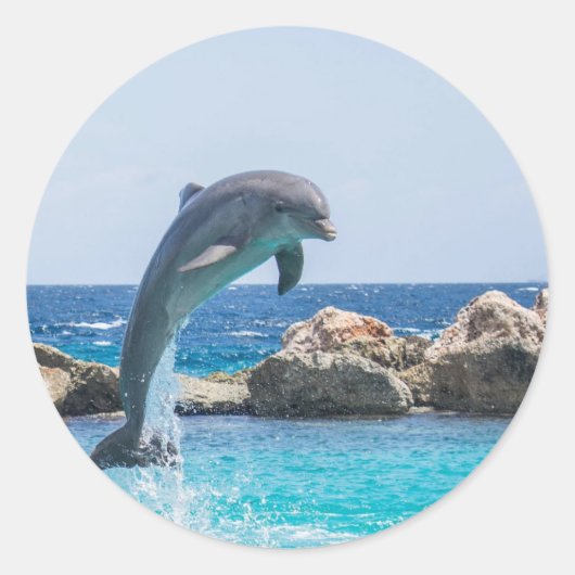 Bottlenose Dolphin Ronde Sticker (Voorkant)