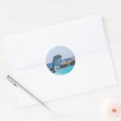 Bottlenose Dolphin Ronde Sticker (Envelop)