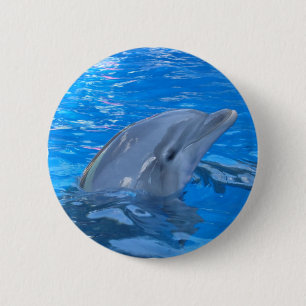 Bottlenose Dolphin Round Pin Ronde Button 5,7 Cm