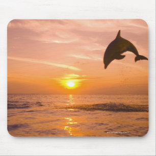 Bottlenose Dolphin springen 2 Muismat