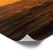 Bottlenose Dolphin springen 2 Poster (Hoek)