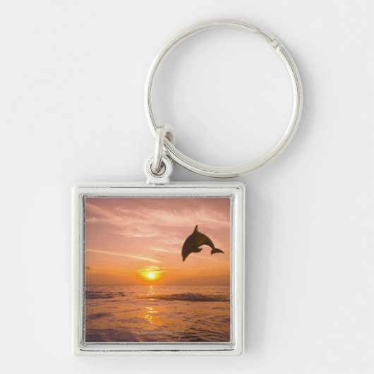 Bottlenose Dolphin springen 2 Sleutelhanger (Voorkant)