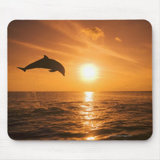 Bottlenose Dolphin springen Muismat (Voorkant)
