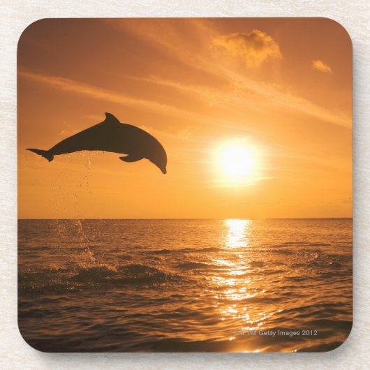 Bottlenose Dolphin springen Onderzetter (Voorkant)