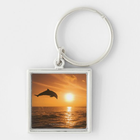 Bottlenose Dolphin springen Sleutelhanger (Voorkant)