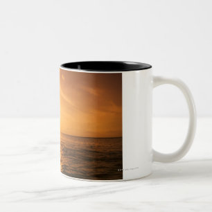 Bottlenose Dolphin springen Tweekleurige Koffiemok