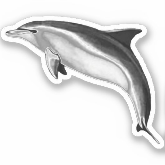 BOTTLENOSE DOLPHIN STICKER (Voorkant)