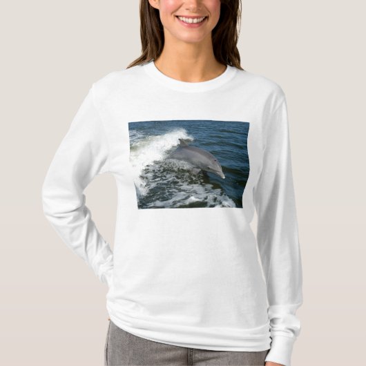 Bottlenose Dolphin T-shirt (Voorkant)