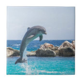 Bottlenose Dolphin Tegeltje (Voorkant)