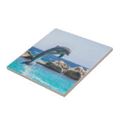 Bottlenose Dolphin Tegeltje (Zijkant)