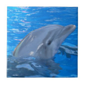 Bottlenose Dolphin Tile Tegeltje (Voorkant)