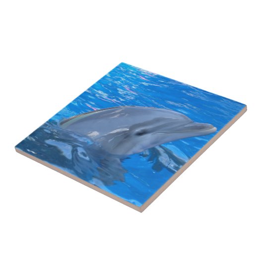 Bottlenose Dolphin Tile Tegeltje (Zijkant)