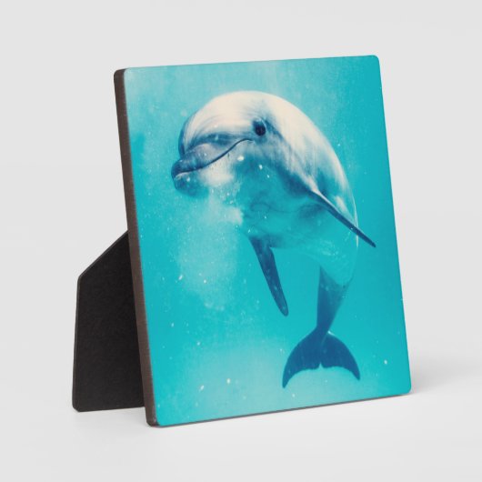 Bottlenosed dolfijn onderwater fotoplaat (Voorkant)