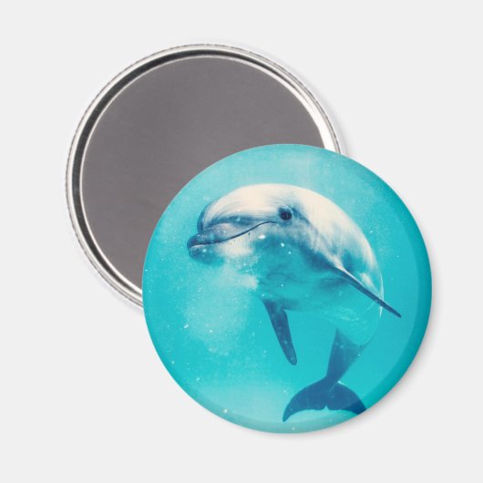 Bottlenosed dolfijn onderwater magneet (Voorkant / Achterkant)