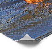 Bottomaten omhoog duikend Poster (Hoek)