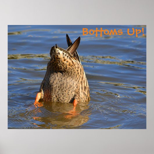 Bottomaten omhoog duikend Poster (Voorkant)