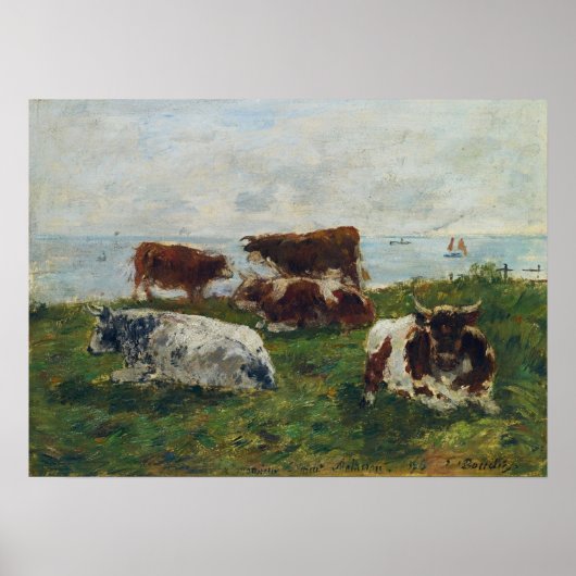 Boudin - Koeien bij de zee 1896 Poster (Voorkant)