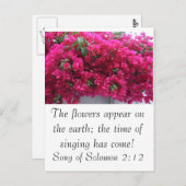 Bougainvilla - Schrift: Zong van Solomon 2:12 Briefkaart (Voorkant / Achterkant)