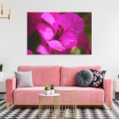 Bougainvillea Beauty Stretch Canvas Afdrukken (Insitu (Woonkamer))