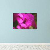 Bougainvillea Beauty Stretch Canvas Afdrukken (Insitu (Houten vloer))