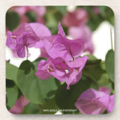 Bougainvillea Bier Onderzetter (Voorkant)