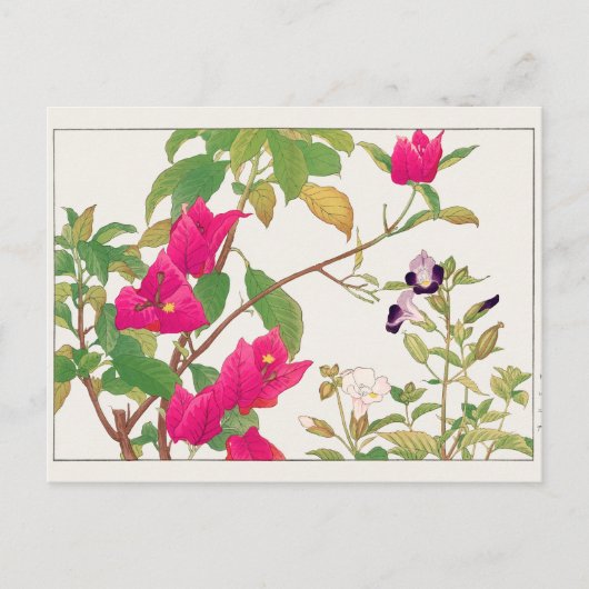 Bougainvillea, bisselbloem van Tanigami Konan Briefkaart (Voorkant)