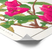 Bougainvillea, bisselbloem van Tanigami Konan Poster (Hoek)
