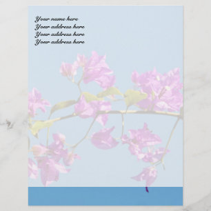 Bougainvillea Bloemen Briefhoofd