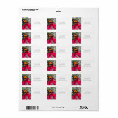 Bougainvillea bloemen met monboogvlinder etiket (Full Sheet)