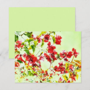 Bougainvillea Bloemen Wingerd Kunst Notitiekaart S Notitiekaartje