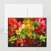 Bougainvillea Blossom Briefkaart (Voorkant / Achterkant)