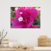 Bougainvillea Blossom Poster (Keuken)