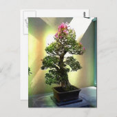 Bougainvillea Bonsai Tree Briefkaart (Voorkant / Achterkant)