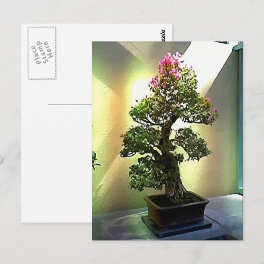 Bougainvillea Bonsai Tree Briefkaart (Voorkant / Achterkant)