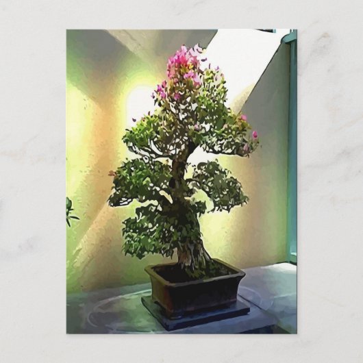 Bougainvillea Bonsai Tree Briefkaart (Voorkant)